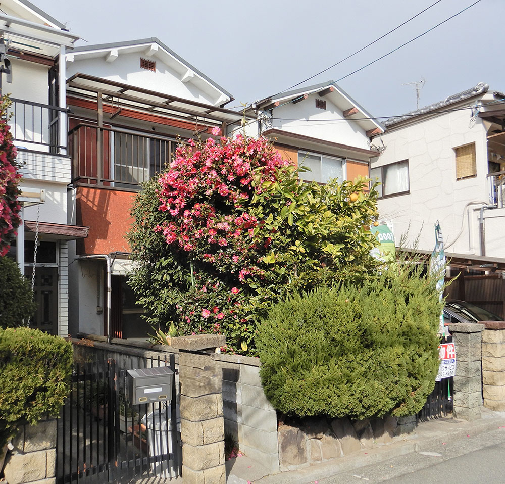 堺市⻄区平岡町